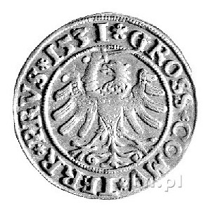 grosz 1531, Toruń, Kurp. 296 R, Gum. 527