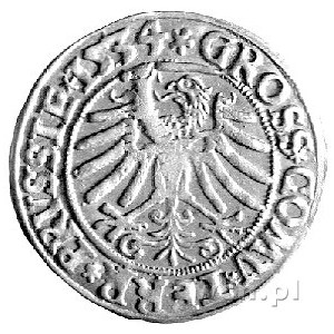 grosz 1534, Toruń, Kurp. 333 R, Gum. 530