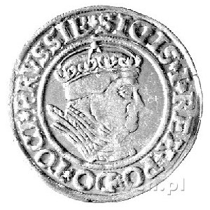 grosz 1535, Toruń, Kurp. 342 R, Gum. 531