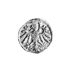 denar 1546, Gdańsk, Kurp. 391 R4, Gum. 544, T. 8, ładni...