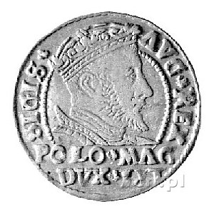 grosz na stopę polską 1546, Wilno, Kurp. 758 R1, rzadka...