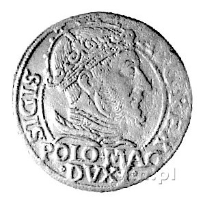 grosz na stopę polską 1547, Wilno, Kurp. 763 R, Gum. 61...