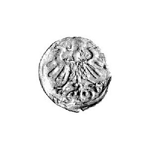 denar 1557, Wilno, Kurp. 644 R3, Gum. 592, T. 10