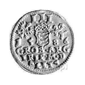 trojak 1586, Wilno, Kurp. 317 R1, Gum. 764, ciekawa odm...