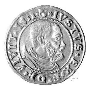 grosz 1531, Królewiec, Neumann 45, Bahr. 1133