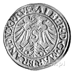 grosz 1534, Królewiec, Neumann 45, Bahr. 1143