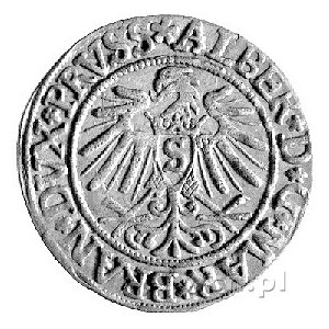 grosz 1537, Królewiec, Neumann 45, Bahr. 1164