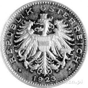100 koron 1923, Wiedeń, Fr. 433, złoto, 33,86 g., rzadk...