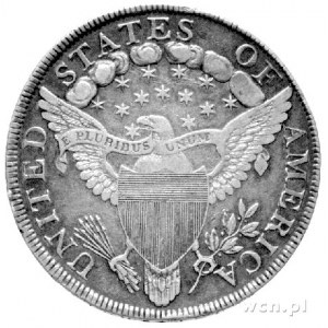1 dolar 1799, Aw: Głowa, Rw: Orzeł z tarczą, w polu 13 ...