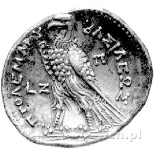 Egipt- Ptolemeusz V Epiphanes 204-180 pne, tetradrachma...