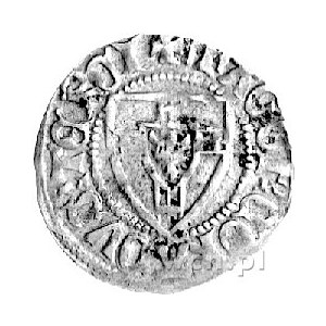 Konrad von Jungingen 1393- 1407, szeląg, Aw: Tarcza Wie...