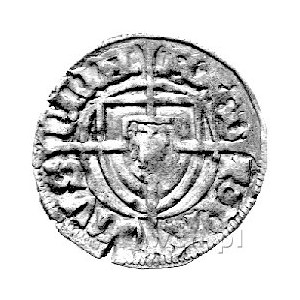 Paweł von Russdorf 1422- 1441, szeląg, Aw: Tarcza Wielk...