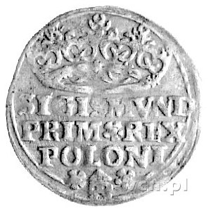 grosz 1529, Kraków, Kurp. 48 R, Gum. 484, patyna.
