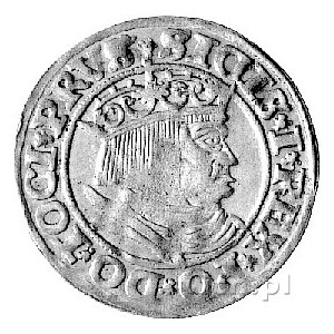 grosz 1532, Toruń, Kurp. 304 R, Gum. 528.