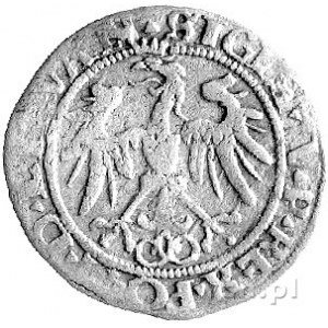 grosz 1536, Wilno, Kurp. - nieopisana odmiana napisu SI...