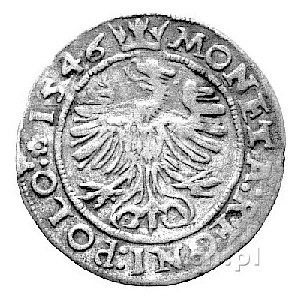 grosz 1546, Kraków, Kurp. 57 R1, Gum. 488, na awersie p...