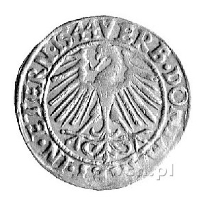 grosz 1544, Legnica, F.u. S. 1363, ładna patyna.