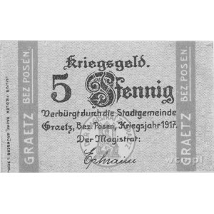 Gorzów Wielkopolski- 5 i 10 fenigów 1917, Schoenawa 1 i...