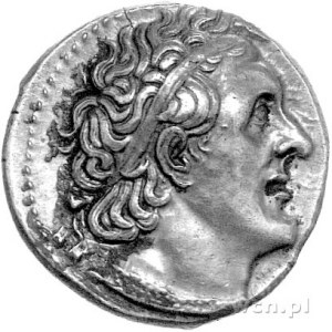 Egipt- Ptolemeusz I Soter 323- 305 pne, mennica Aleksan...