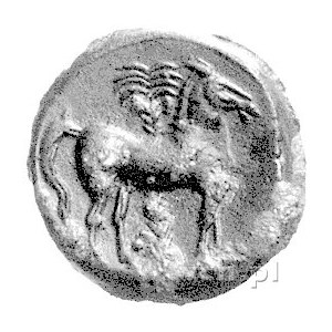 Zeugitana- Kartago, AE-16, koniec IV w. pne, Aw: Głowa ...