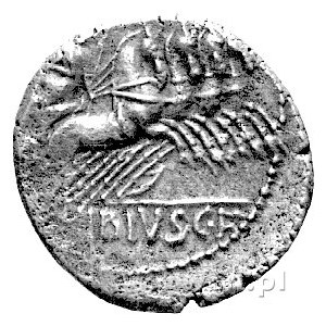C. Vibius C. f. Pansa około 90 pne, denar, Aw: Głowa Ap...
