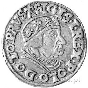 trojak 1538, Gdańsk, Kurp. 511 R1, Gum. 571, patyna.