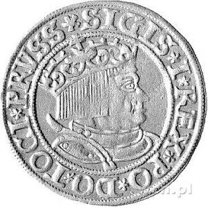 grosz 1534, Toruń, odmiana popiersie króla w koronie, K...