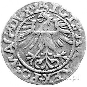 półgrosz 1562, Wilno, odmiana z herbem Topór na dole, d...