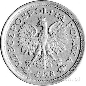 1 złoty 1928, Wieniec - gałązki dębowe, bez napisu Prób...