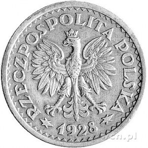1 złoty 1928, Wieniec - gałązki z owocami, bez napisu P...