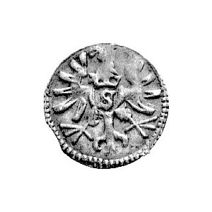denar 1571, Królewiec, Neumann 51, Bahr. 1271, rzadki.