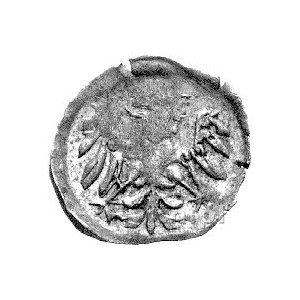 halerz jednostronny, Orzeł, F.u.S. 2947 ale jako moneta...