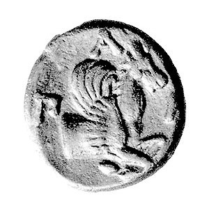 Tracja-Pantikapea, AE-15, IV/III w. pne, Aw: Głowa młod...
