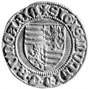 Zygmunt 1387-1437, goldgulden, Nagy Banya (1404-1405), ...