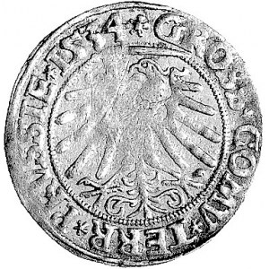 grosz 1534, Toruń, Kurp. 333 R, Gum. 530, moneta słabo ...