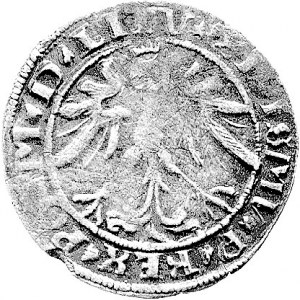 grosz 1536, Wilno, drugi egzemplarz z odmianą napisów S...