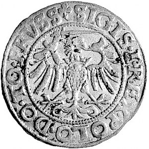 grosz 1540, Elbląg, Kurp. 610 R, Gum. 583