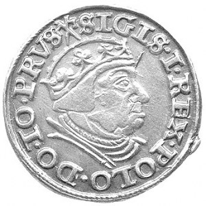 trojak 1540, Gdańsk, Kurp. 524 R1, Gum. 573