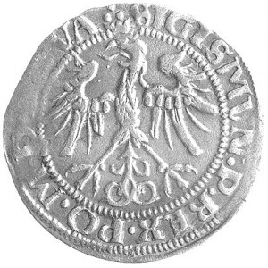 grosz 1536, Wilno, odmiana z literą I pod Pogonią, awer...