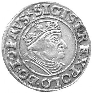 grosz 1539, Gdańsk, Kurp. 482 R, Gum. 565, zarysowane t...