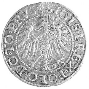 grosz 1545, Kraków, odmiana z dwoma różyczkami pod napi...