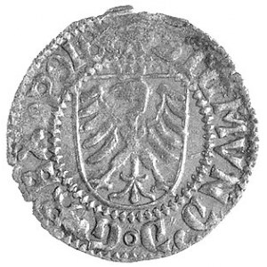 szeląg 1524, Gdańsk, Kurp. 398 R3, Gum. 546, T. 5, rzad...
