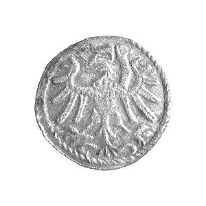 denar 1539, Gdańsk, po bokach litery M-S, Kurp. 389 R4,...