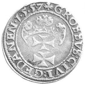 grosz 1557, Gdańsk, awers jak Bahr. 8063, ale napis zak...