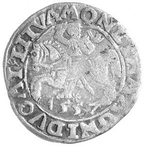 półgrosz 1557, Wilno, Kurp. 695 R5- podobny, na awersie...