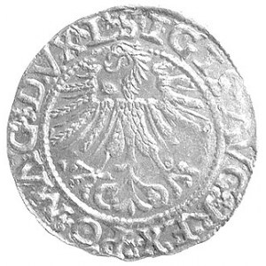 półgrosz 1562, Wilno, odmiana z herbem Topór w otoku, K...