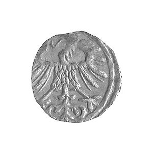 denar 1553, Wilno, Kurp. 640 R4, Gum. 592, T. 8