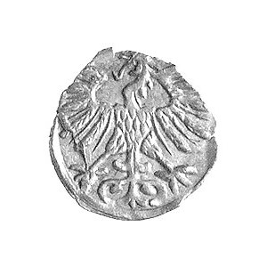 denar 1556, Wilno, Kurp. 643 R3, Gum. 592, T. 6