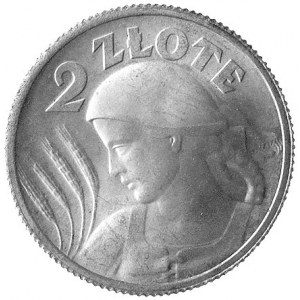 2 złote 1924, Paryż, patyna