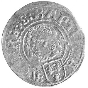 grosz 1508, Nysa, odmiana z małą cyfrą 0 w dacie, Fbg. ...